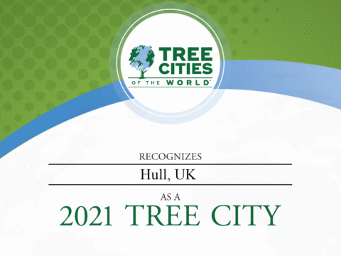 View article “Tree-mendous” news as Hull is announced as Tree City of the World
