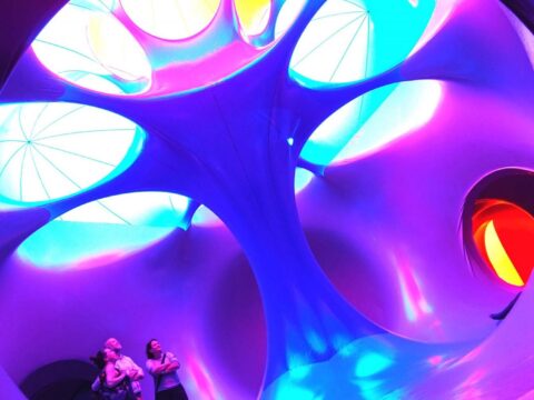 View article Giant inflatable structure heading to Pearson Park this summer