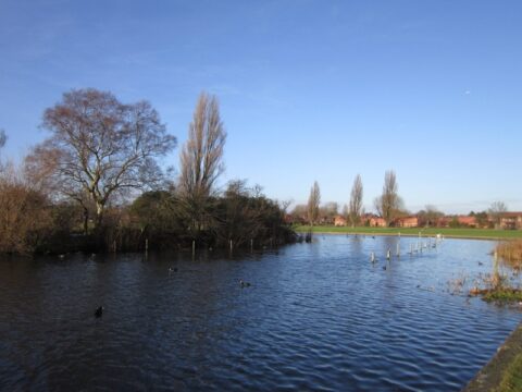 View article Hull City Council statement: Travellers on Pickering Park