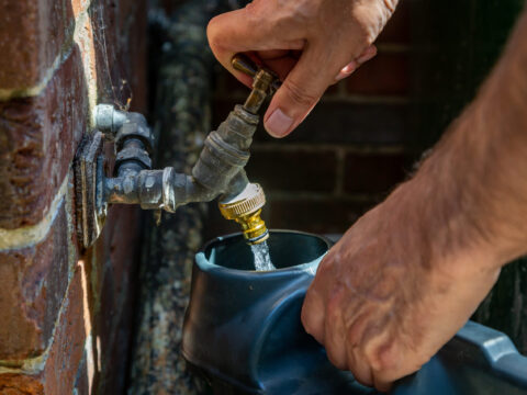 View article Why you might see us using a hosepipe during the ban