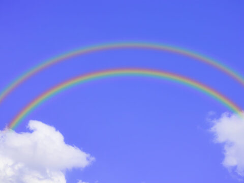 View article A sign of new beginnings and transformation