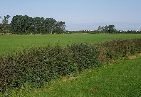 View article Football Foundation kicks off major improvements for Bude Park