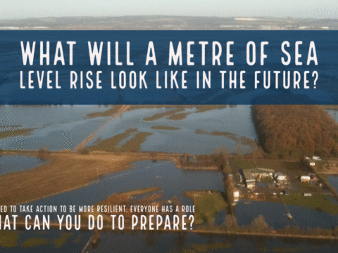 View article Flood Action Week: The partnership working to protect the Humber from tidal floods