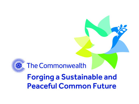 View article Hull City Council to mark Commonwealth Day 2023