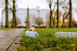 Litter on the ground in Queens Gardens, Hull