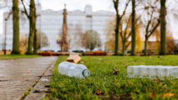 Litter on the ground in Queens Gardens, Hull