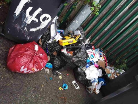 View article Hull fly-tipper fined £1,300 – and more successful prosecutions