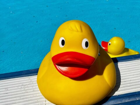 View article Duck, duck, go! Pupils’ chance to win free swim at new outdoor heated lido