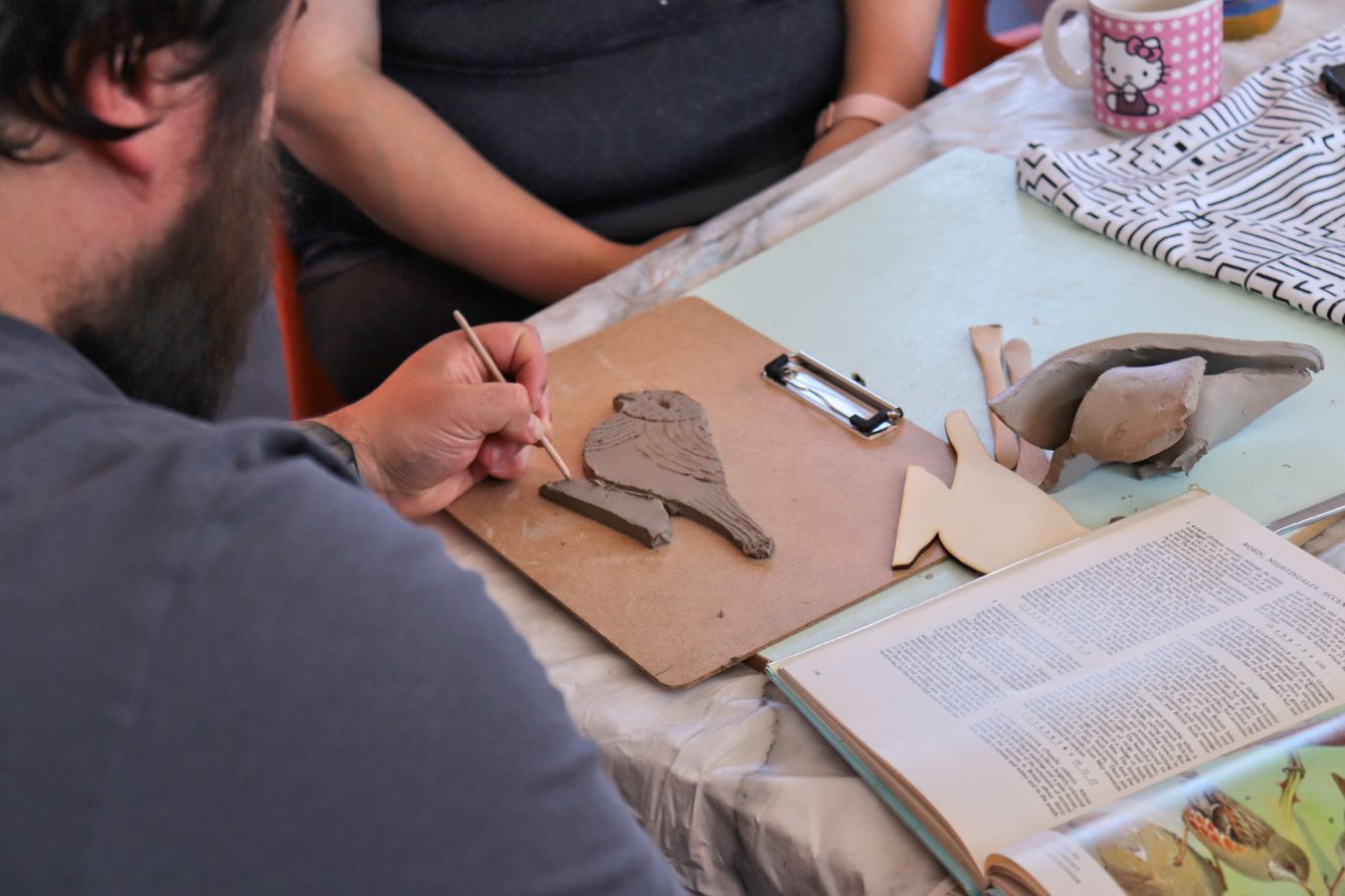 Perches and Flyways exhibition