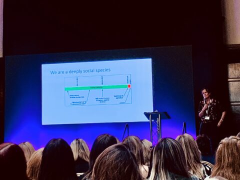 View article Professionals across Hull come together to help young people Thrive