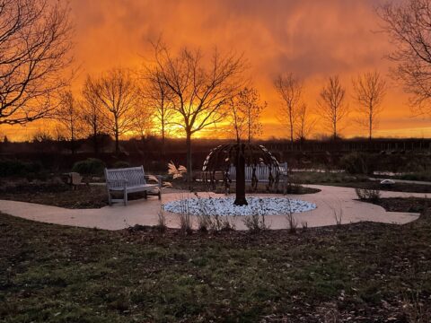 View article Remodelled cemetery revealed