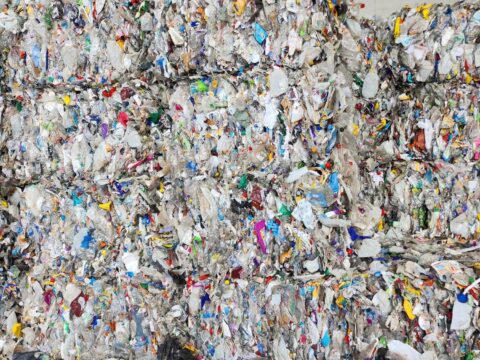 View article National Recycling Week 2023: Hull sets the standard for recycling 