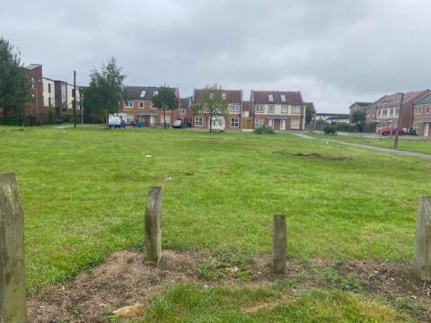 View article Pocket Parks pilot project launched