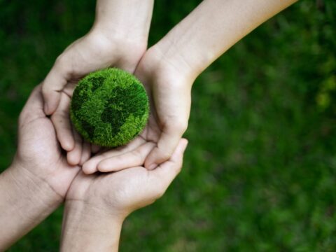 View article Devolution: Committing to net zero