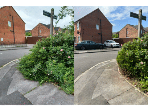 View article Love Your Neighbourhood: Newington and Gipsyville area receives tidy-up treatment