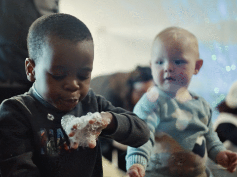 View article Ewe are invited to a special sensory show this summer