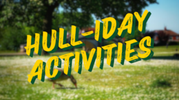 a picture of a park and the text says holiday activities