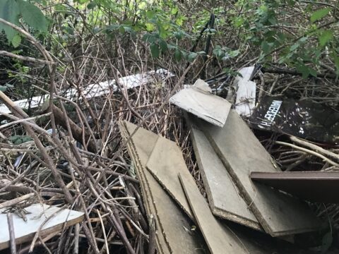 View article Hull property owner prosecuted and fined over £1,000 for untidy land  