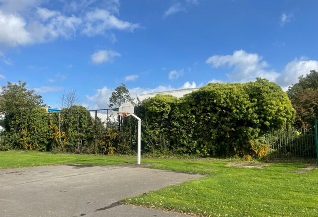 Woodford Leisure Centre's MUGA, which has fallen into disrepair.