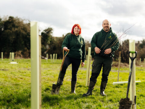View article Humber Forest plants a quarter of a million trees to support communities and local environment