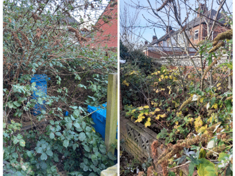 View article Hull property owner prosecuted and fined over £2,000 for untidy land