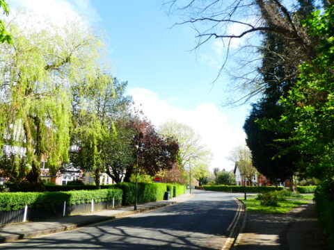 View article Public opinion wanted on proposed conservation areas changes