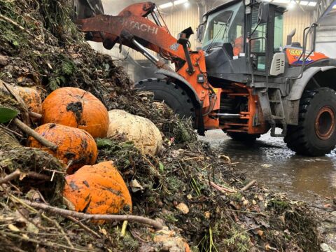 View article Council urges residents to dispose of Halloween pumpkins responsibly