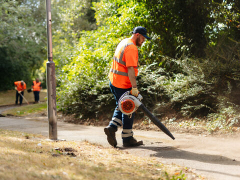 View article Council launches leaf clearance programme to keep streets clear and safe 