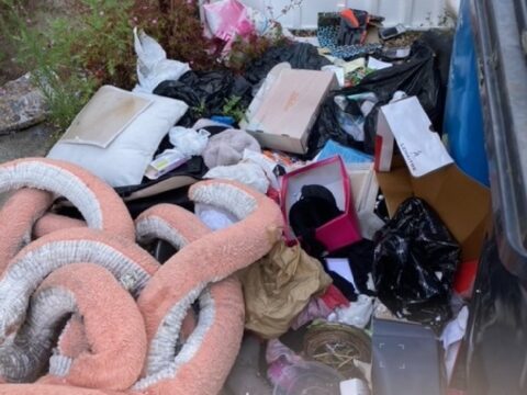View article Hull residents prosecuted and ordered to pay over £6,000 for untidy land