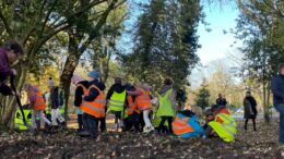 primary school children in high-vis vests plant bulbs in a sunny park