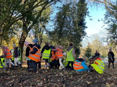 View article Bulb planting marks White Ribbon Day