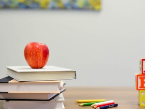 View article Primary school places deadline approaches