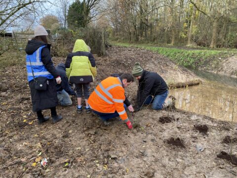 View article Appleton Primary pupils plant hedges as part of Setting Dyke flood resilience scheme