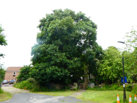 View article Boundary amendments for conservation areas