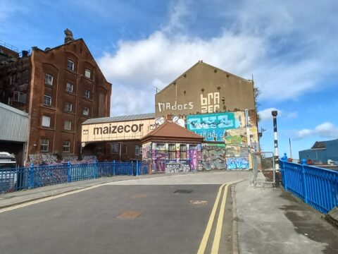 View article Should Wincolmlee become a new conservation area?