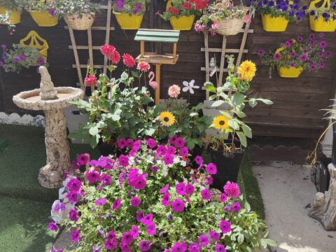 View article Calling all green fingered tenants!