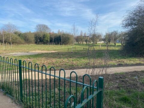 View article New pocket park in west Hull