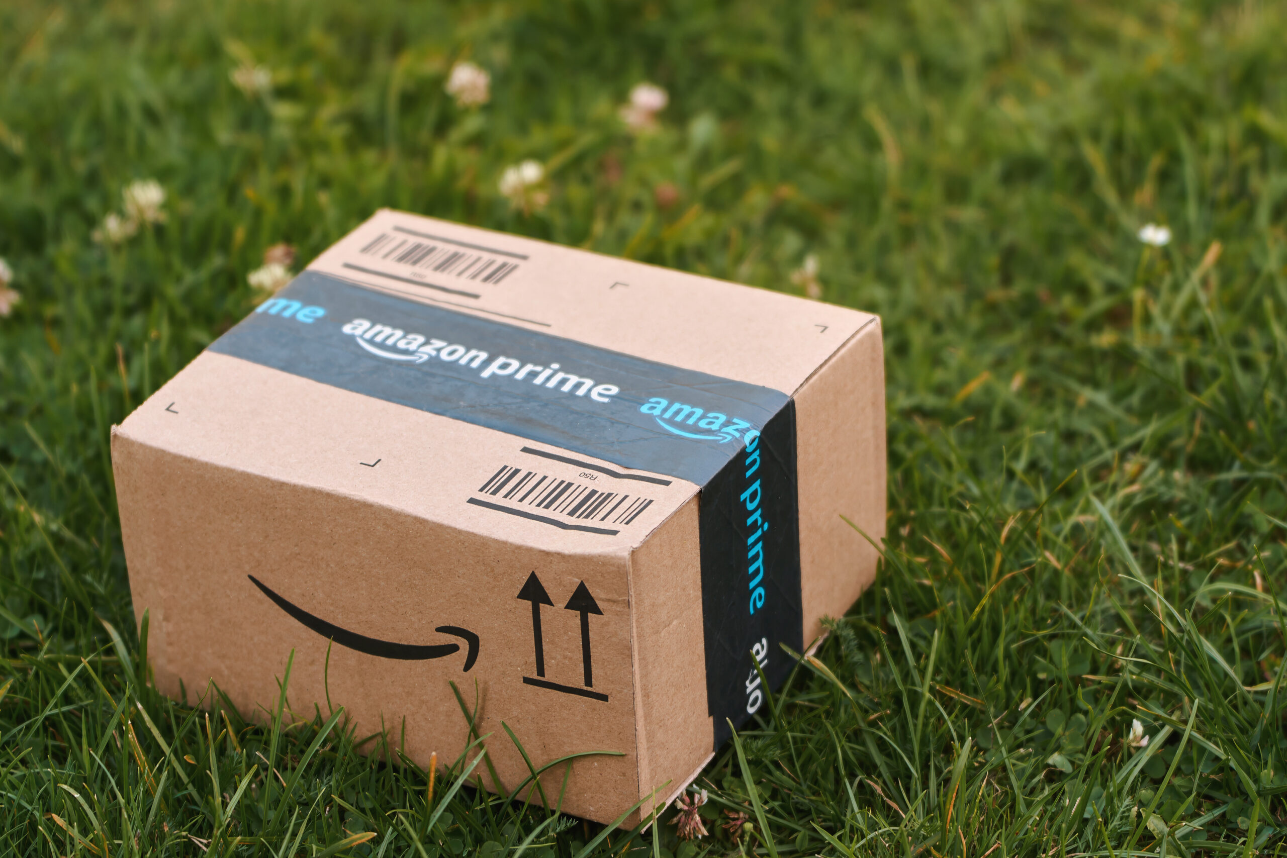 Amazon delivery box on grass.