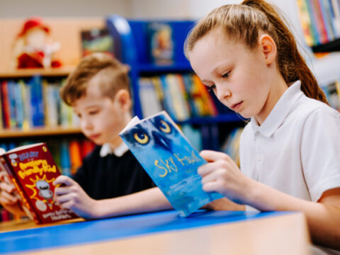 View article Hull Schools Library scoops national award