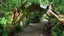 The Rainbow Community Garden.