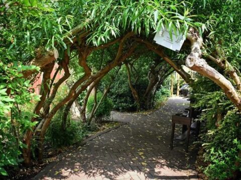 View article Community garden to celebrate 27 years of support for local communities with special Open Day