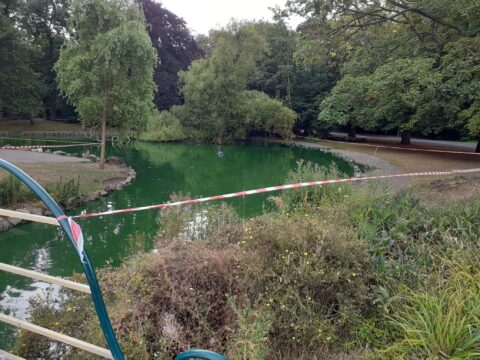 View article Precautionary measures in place at Pearson Park Pond 