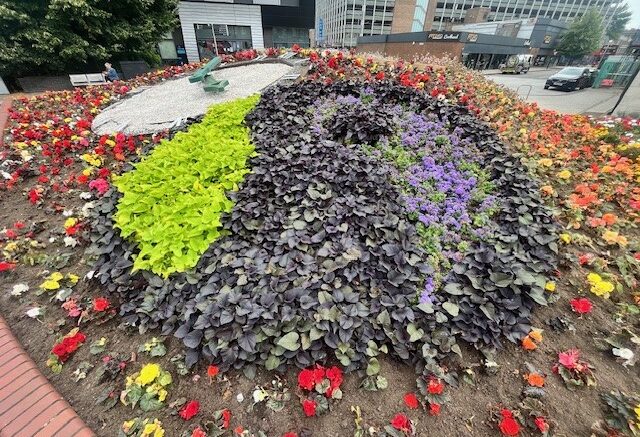 A picture of dark purple, lighter purple and green flowers show the Fairtrade logo, surrounded by other colourful flowers in a raised bed