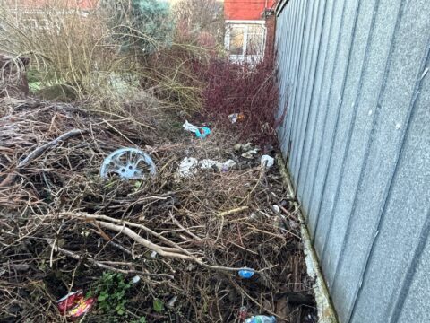 View article Hull residents prosecuted and ordered to pay over £6,000 for untidy land