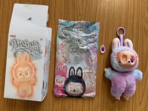 View article Fake Labubu warning