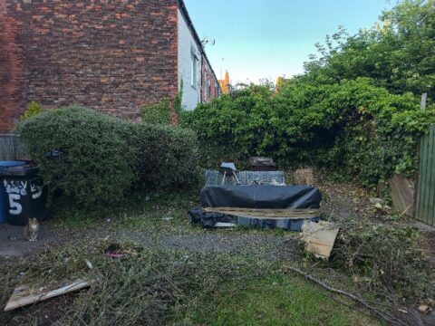 View article Four more pocket parks on the way across Hull after further council investment