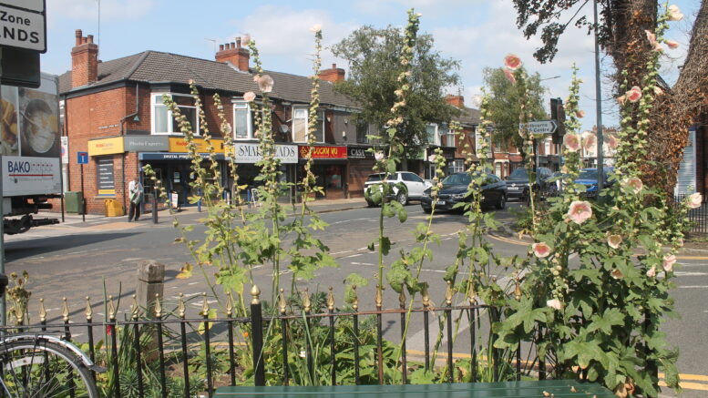 A photo of Chanterlands Avenue looking through plants.