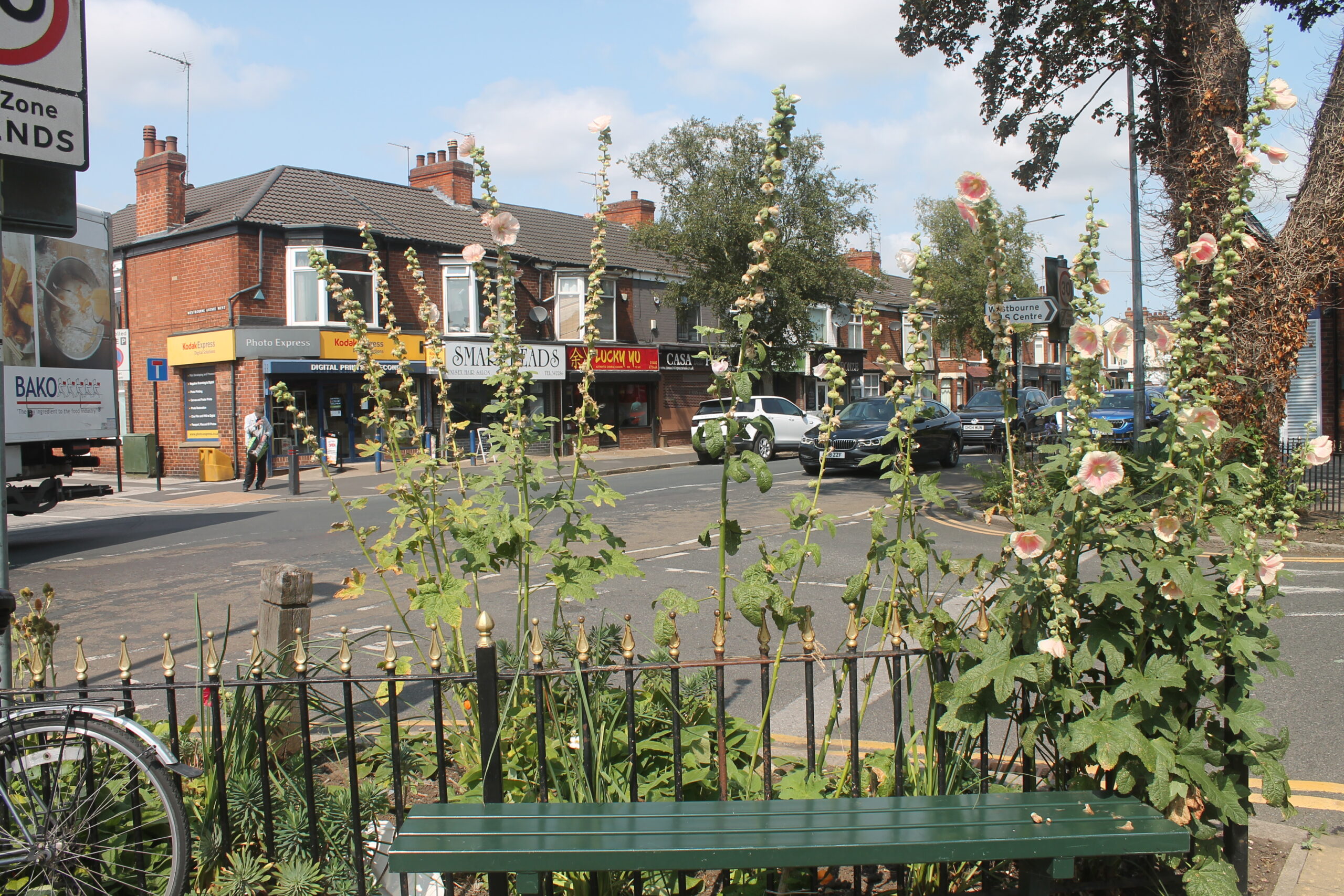 A photo of Chanterlands Avenue looking through plants.