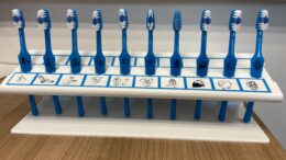A row of blue toothbrushes