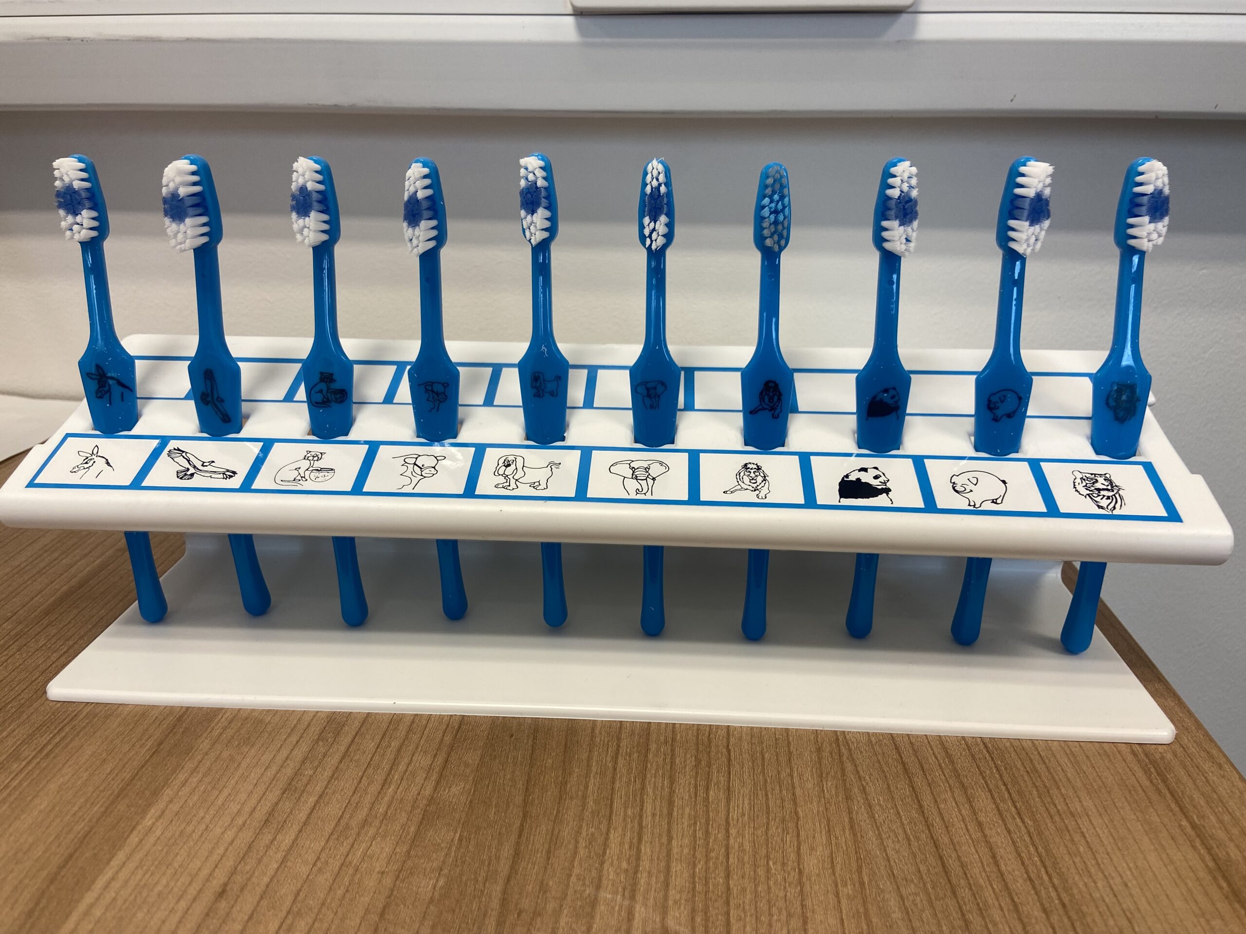 A row of blue toothbrushes